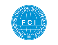 Golden Retriever Zucht / FCI - Fédération Cynologique Internationale